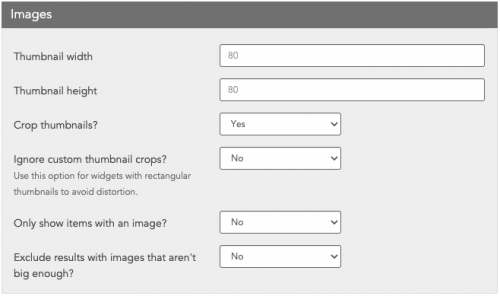 Widget Editor - Image Settings