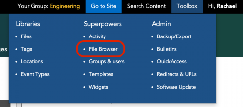 UI of the restore from file browser