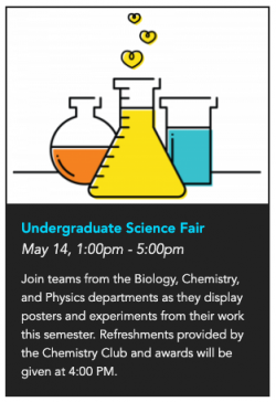 Starter Widget: Card View Starter Widget: Card View